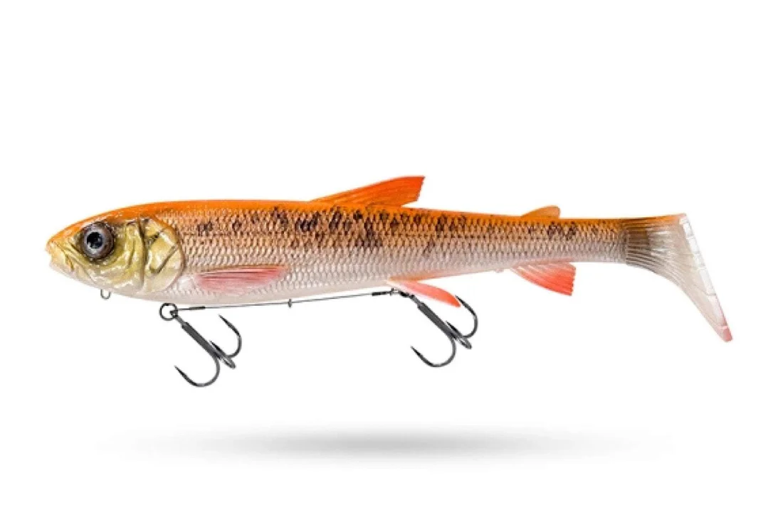 charliesfishing408460