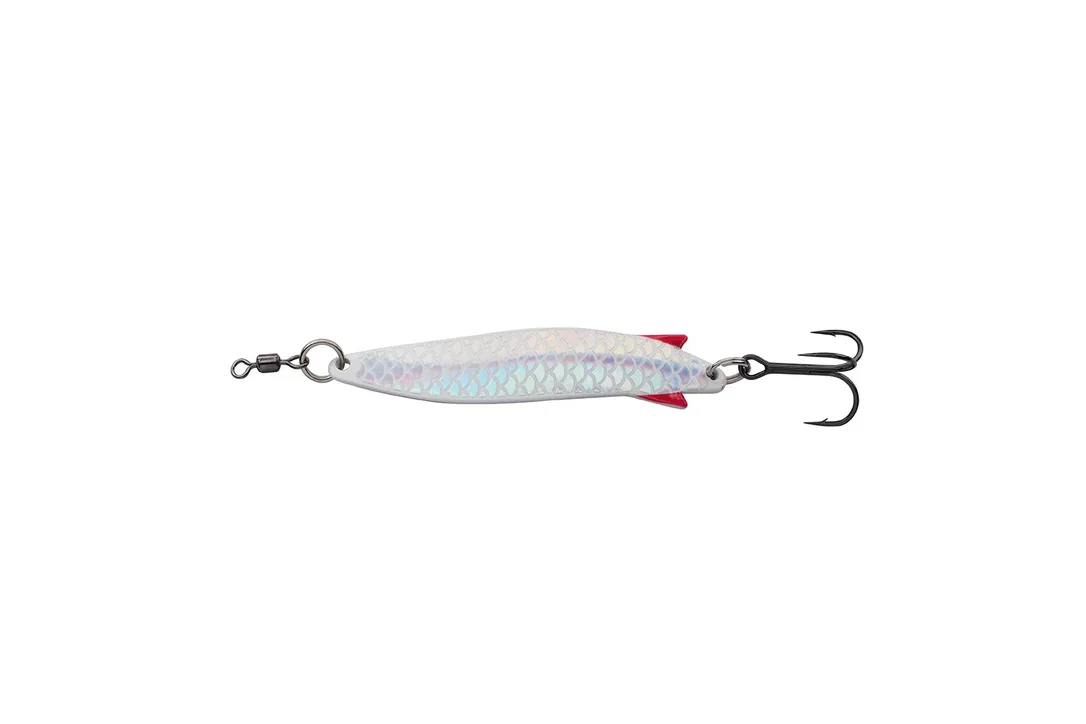 charliesfishing410269