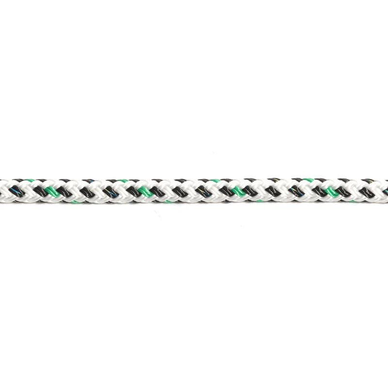 compass24481030