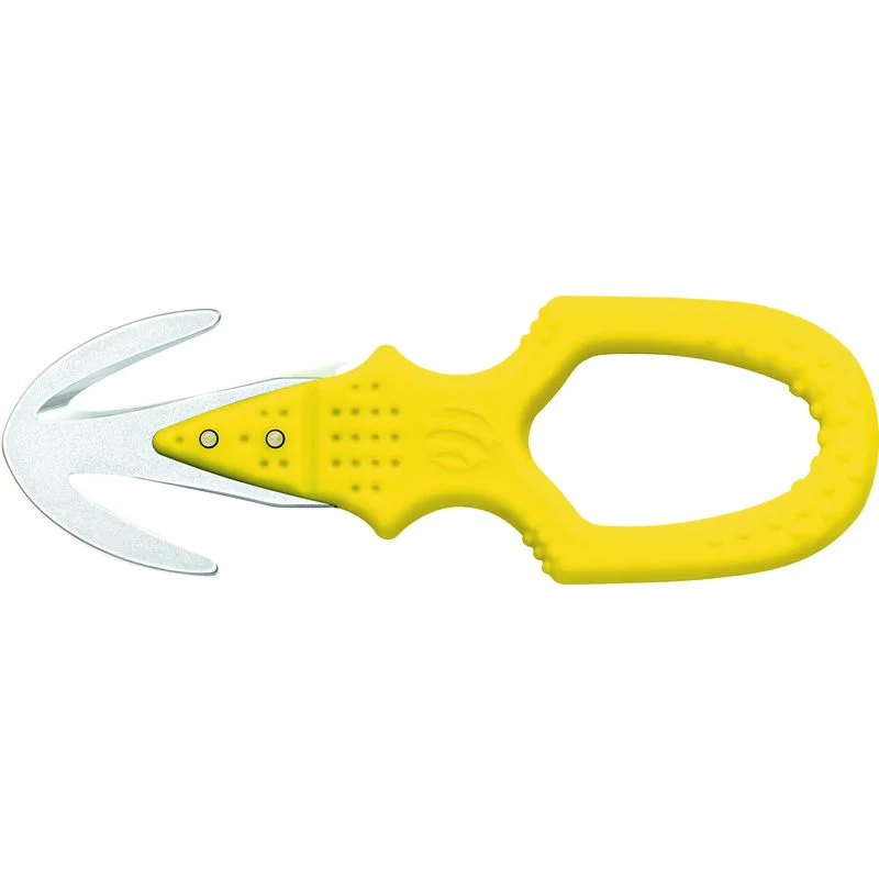 compass24498962