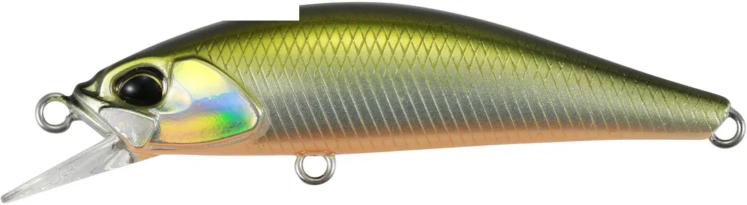 franz-geht-fischen358729