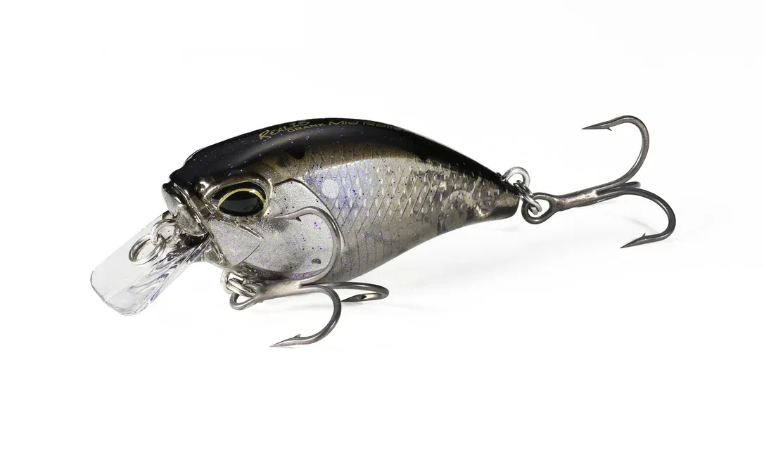 franz-geht-fischen363826