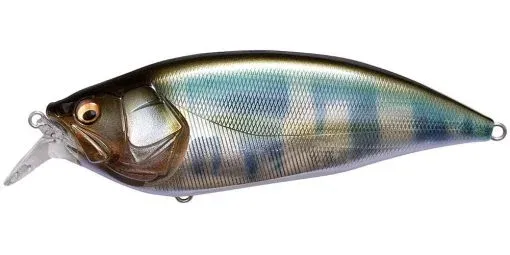 franz-geht-fischen377624