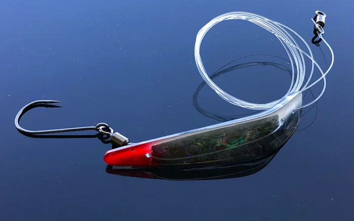 funfish371674