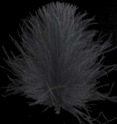 funfish390326