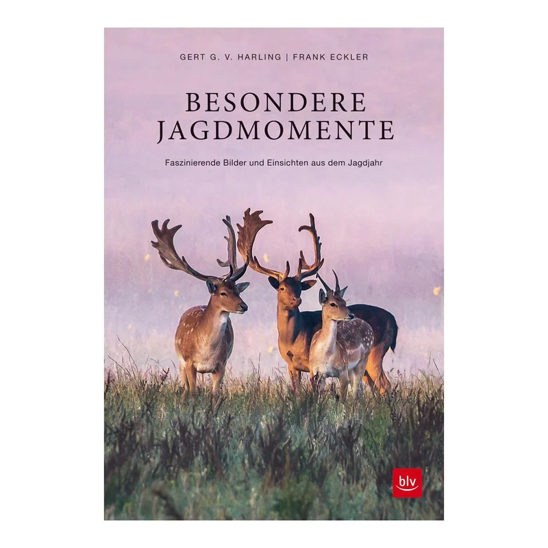 hauptner-jagd375648