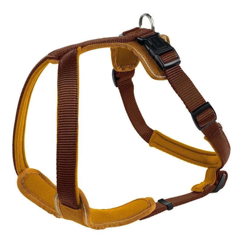 hauptner-jagd383559