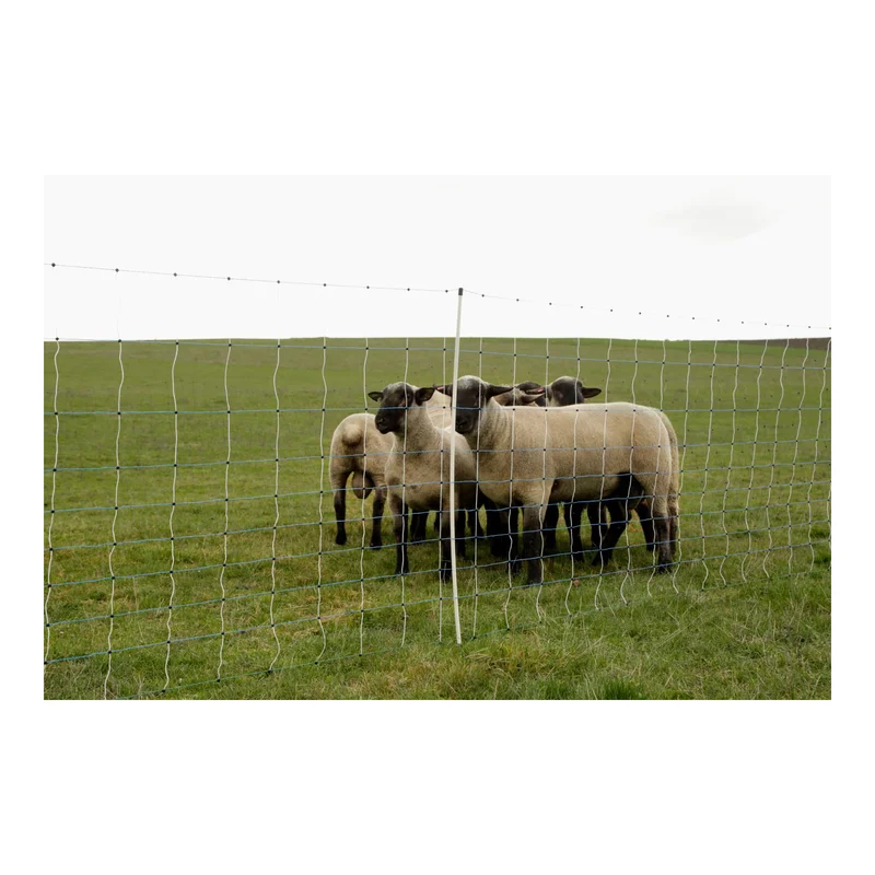 hauptner-jagd385270