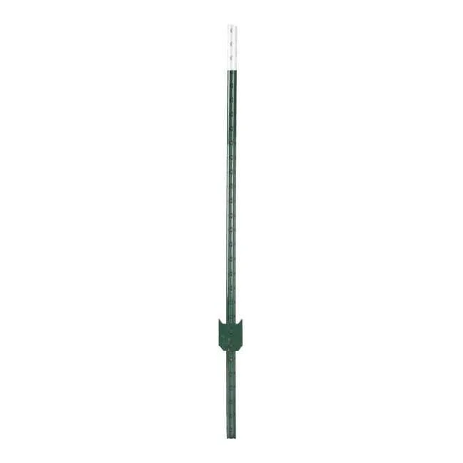 hauptner-jagd387807