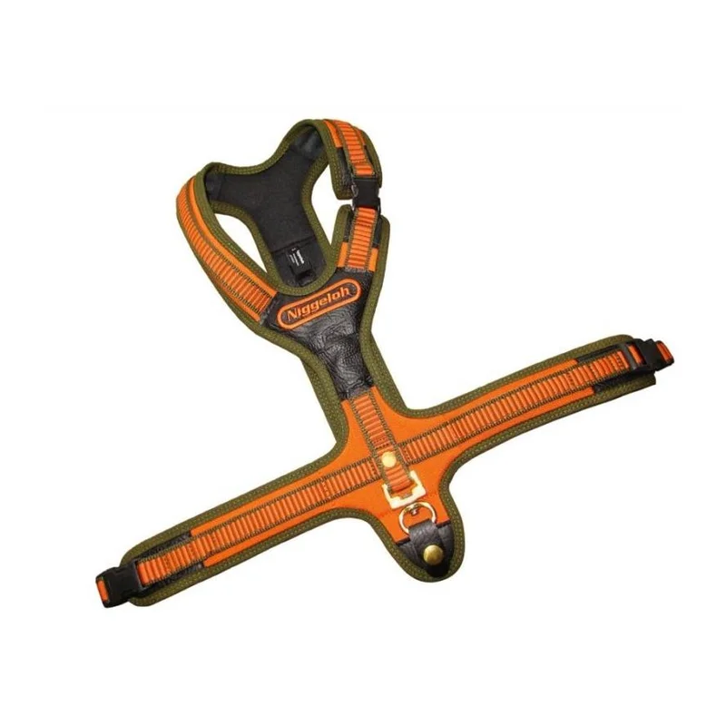 hauptner-jagd393302