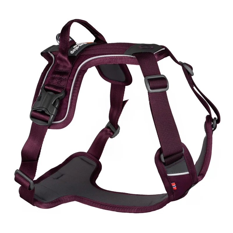 hauptner-jagd395488