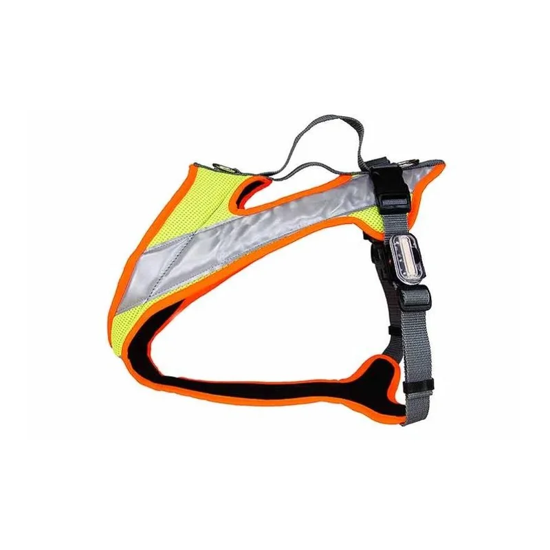 hauptner-jagd395776