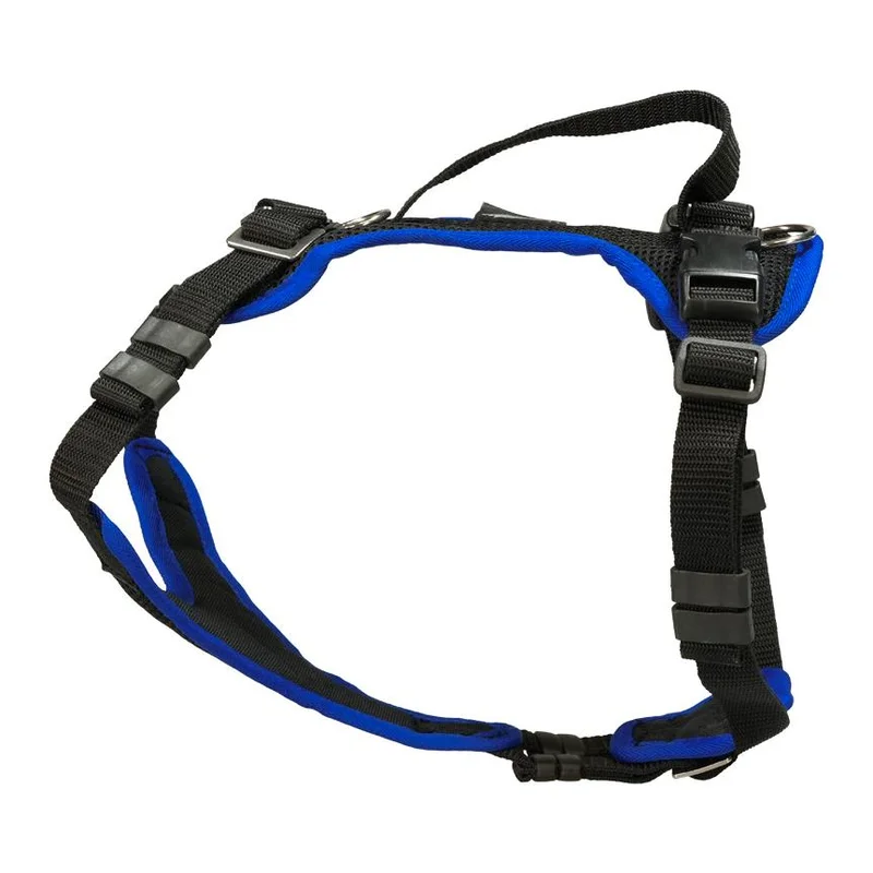 hauptner-jagd396239