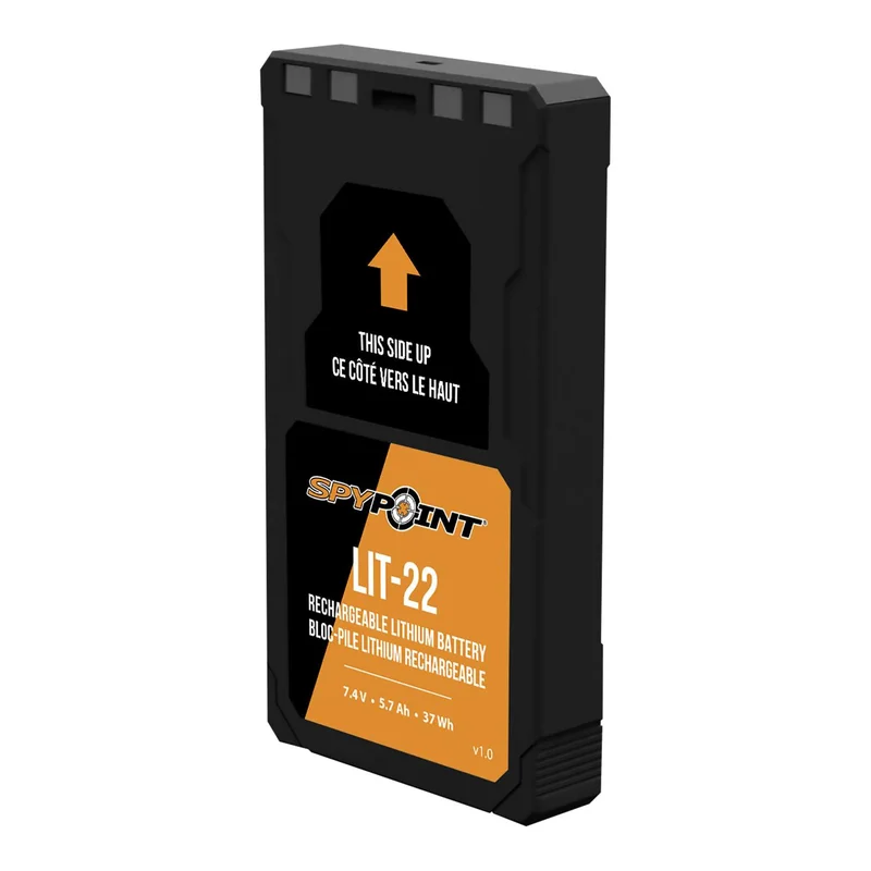 hauptner-jagd398433