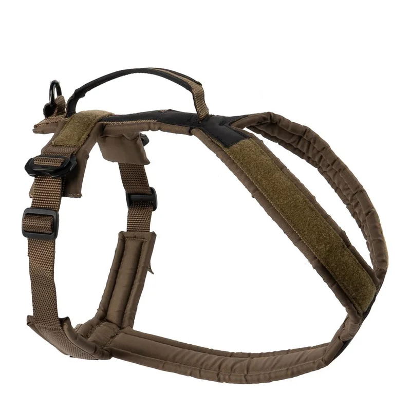 hauptner-jagd415373