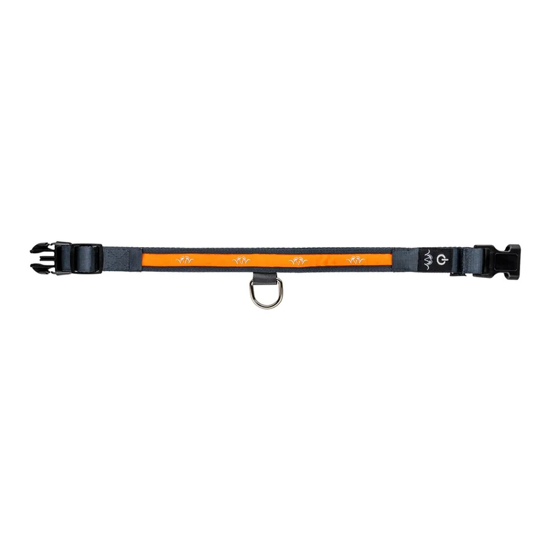 hauptner-jagd430580