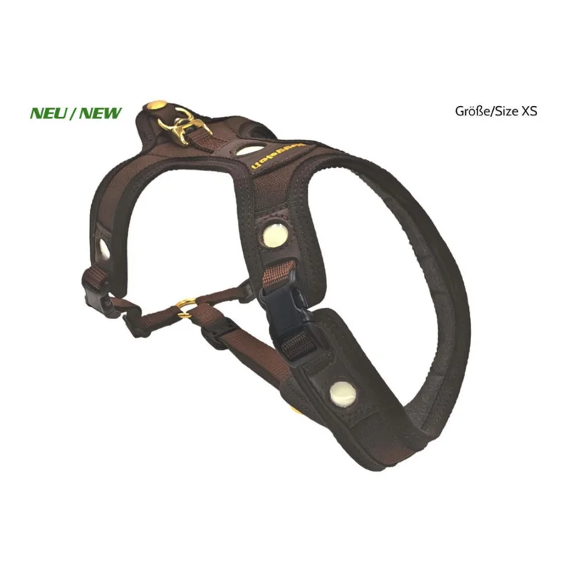 hauptner-jagd434792