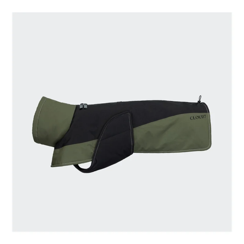 hauptner-jagd439711