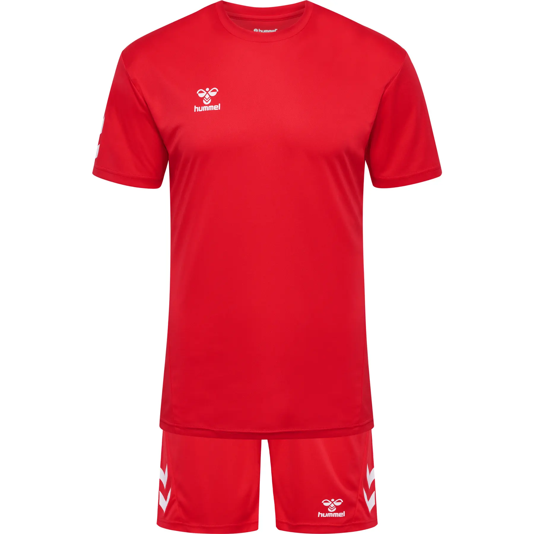 sportisgood1803364