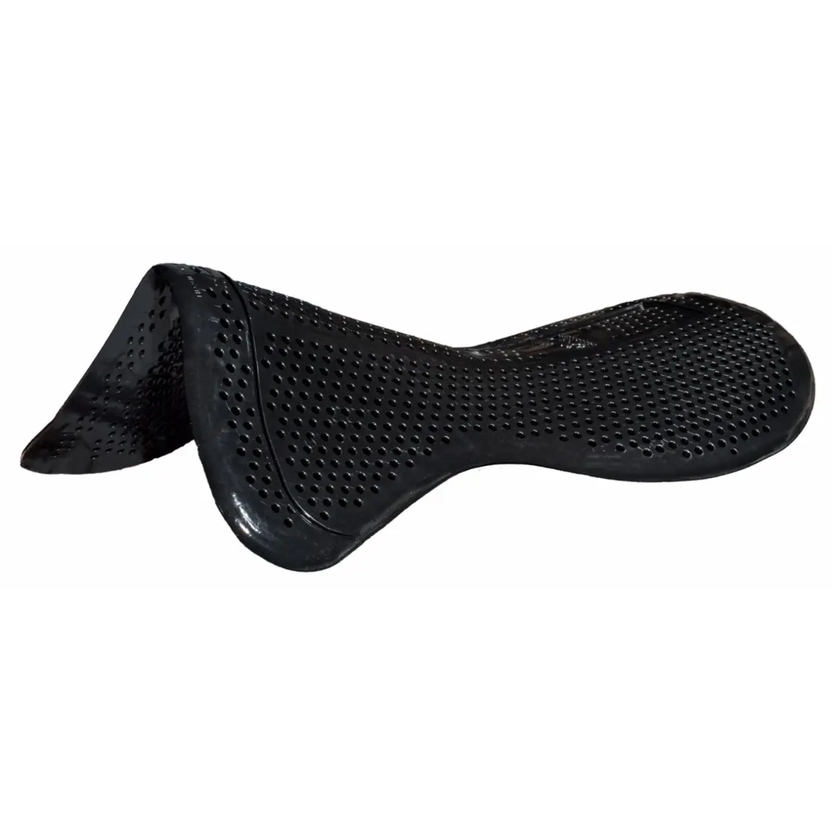 sportisgood1822005