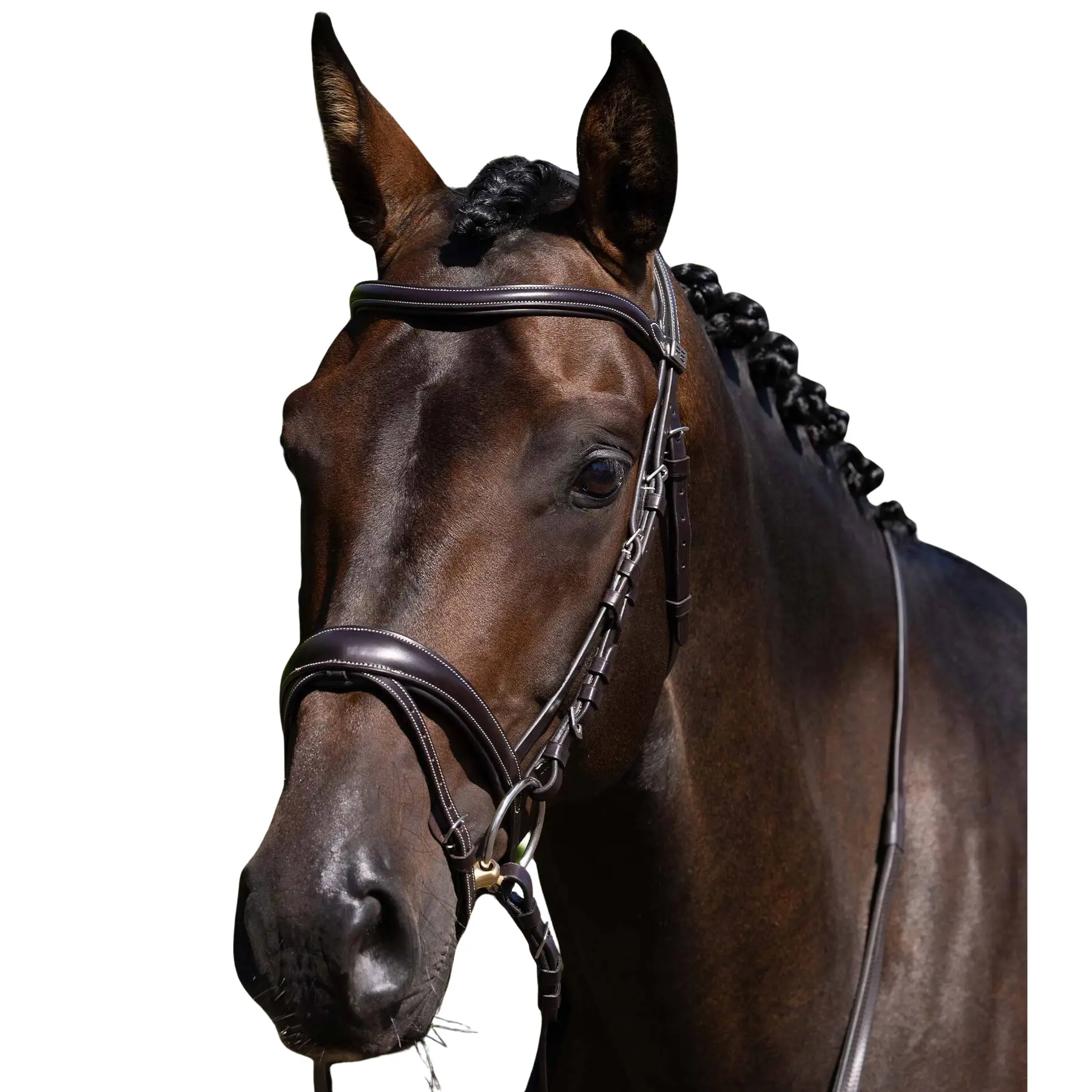 sportisgood381189