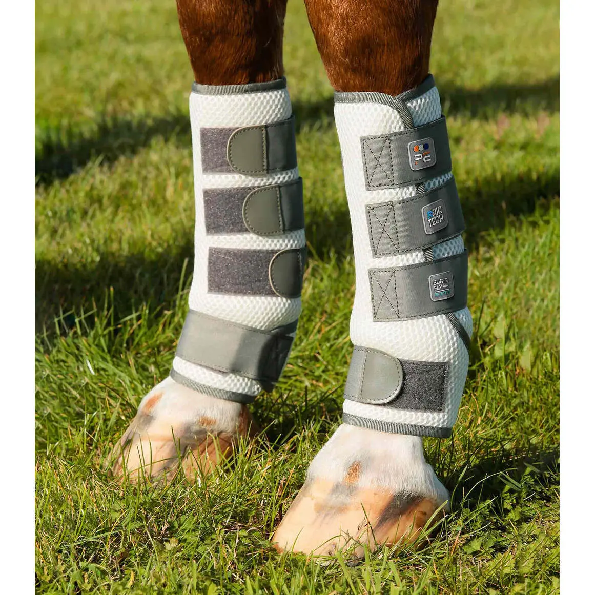 sportisgood412507