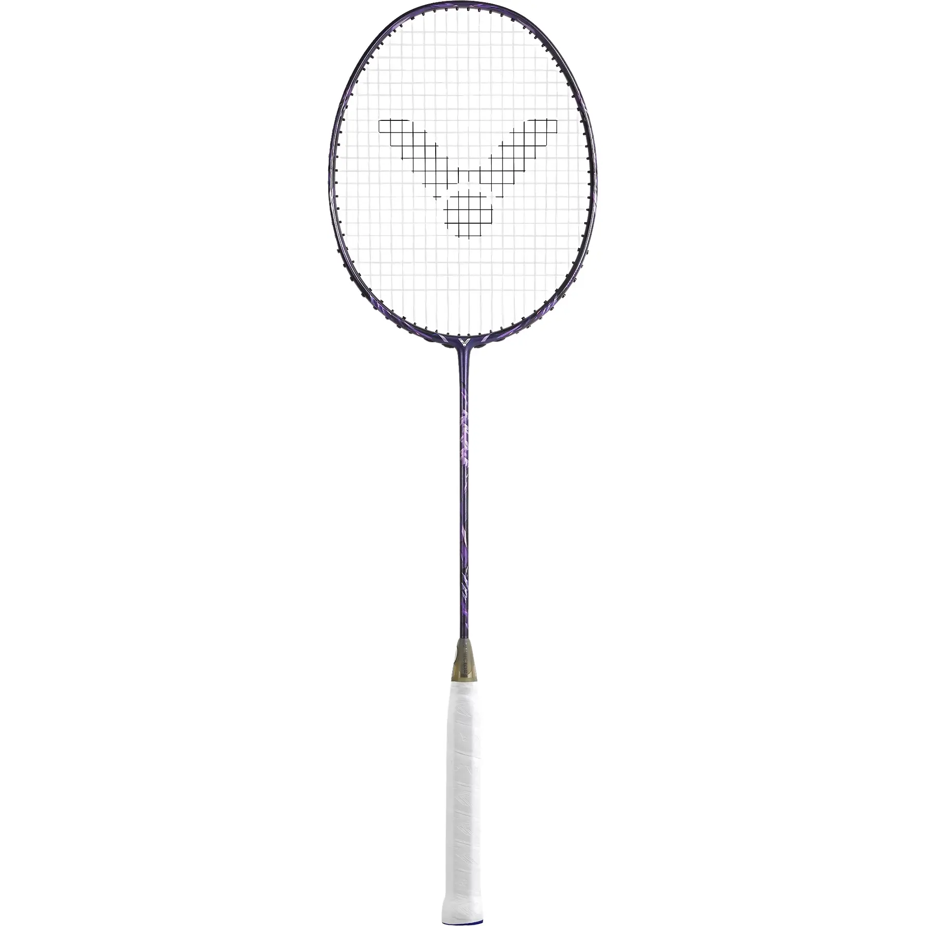 sportisgood491363