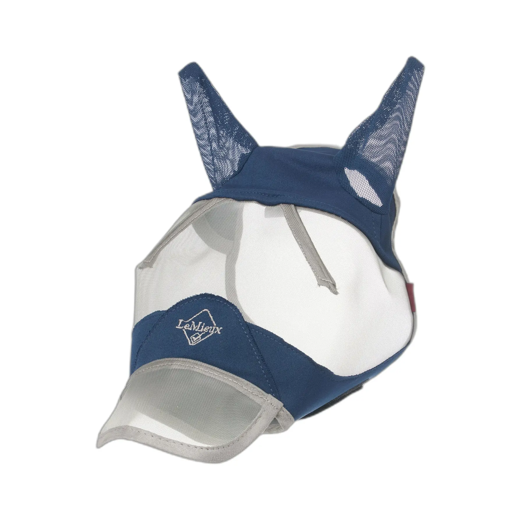 sportisgood595154