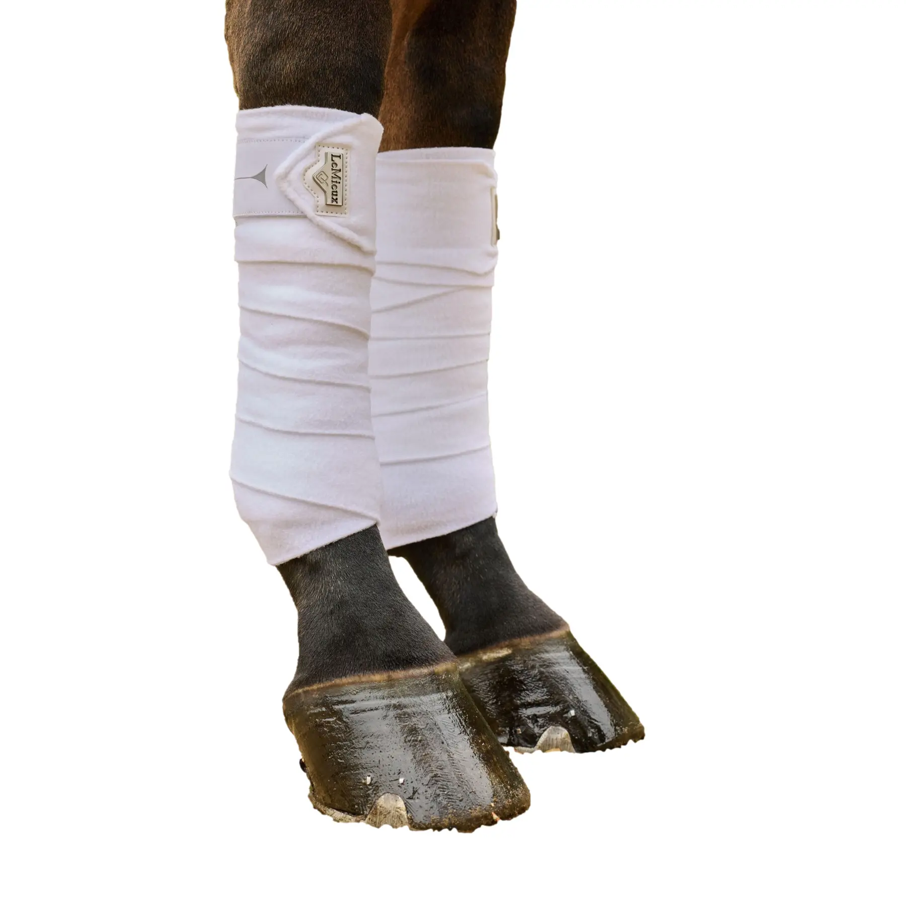 sportisgood690472