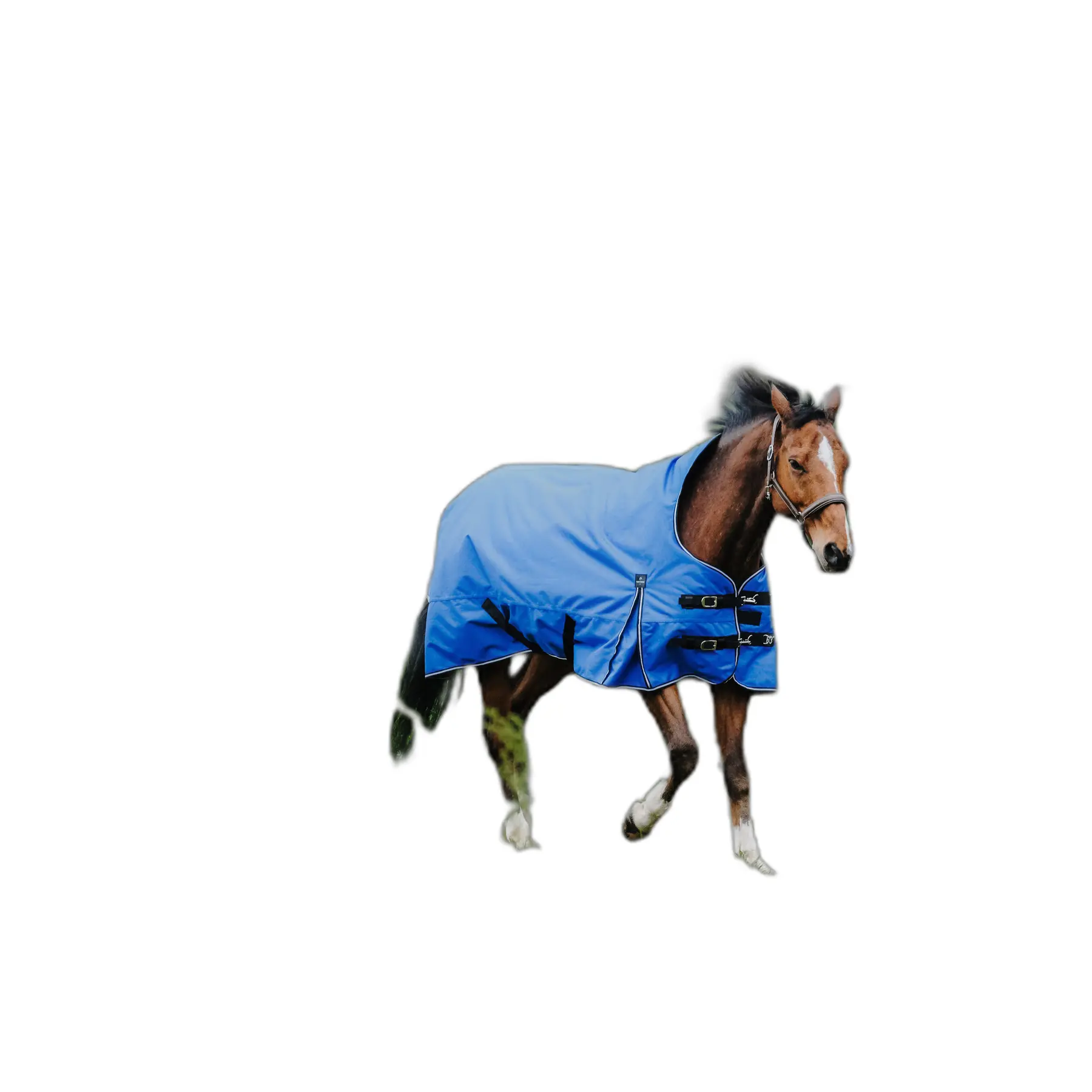 sportisgood799796