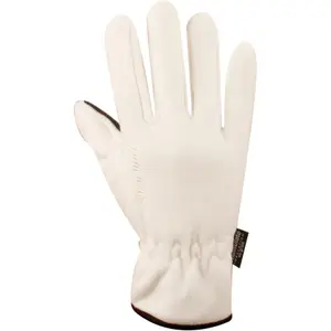 trek-expert-1572373
