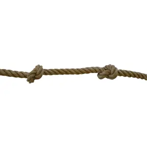 trek-expert619523